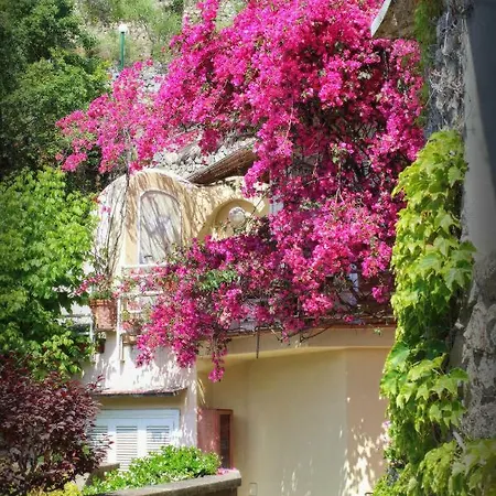 Apartament Venus *