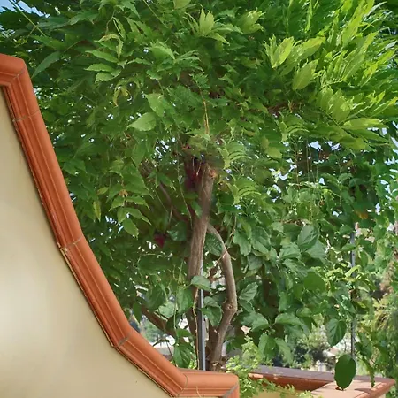 Venus Apartment